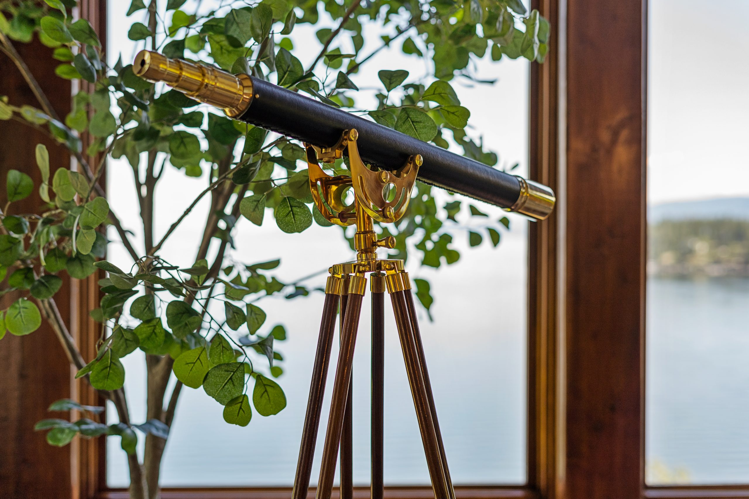 OmnivistaPro -34480 Snowberry Ln-53