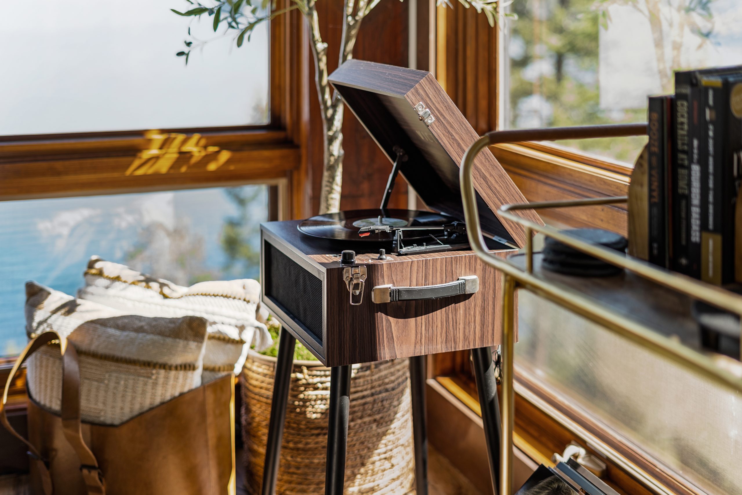 OmnivistaPro -34480 Snowberry Ln-54